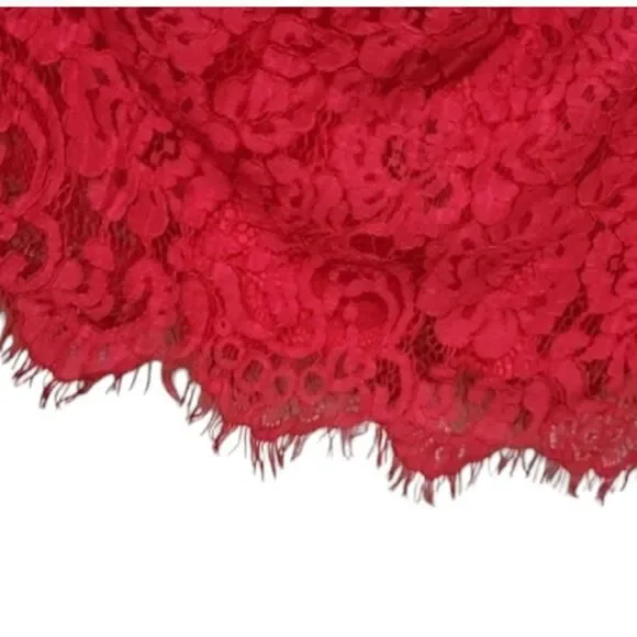 New Anthropologie Seen Worn Kept Elegant Pink Rose Lace V-neck Dress Size 4 - Picture 7 of 7